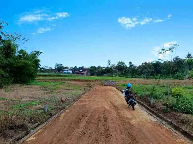 tanah murah view sawah deket terminal di gunungpati