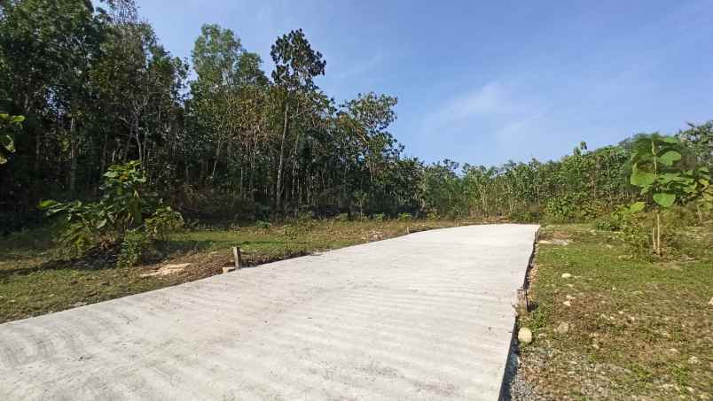 tanah murah wates dekat stadion cangkring kulon progo