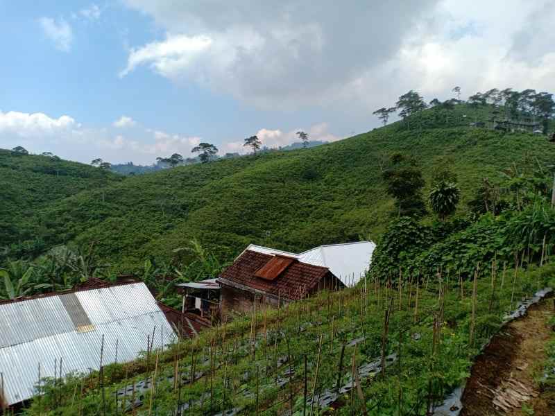 tanah ngargoyoso karanganyar