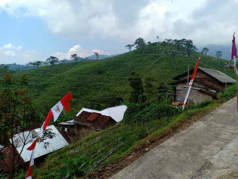 tanah ngargoyoso karanganyar