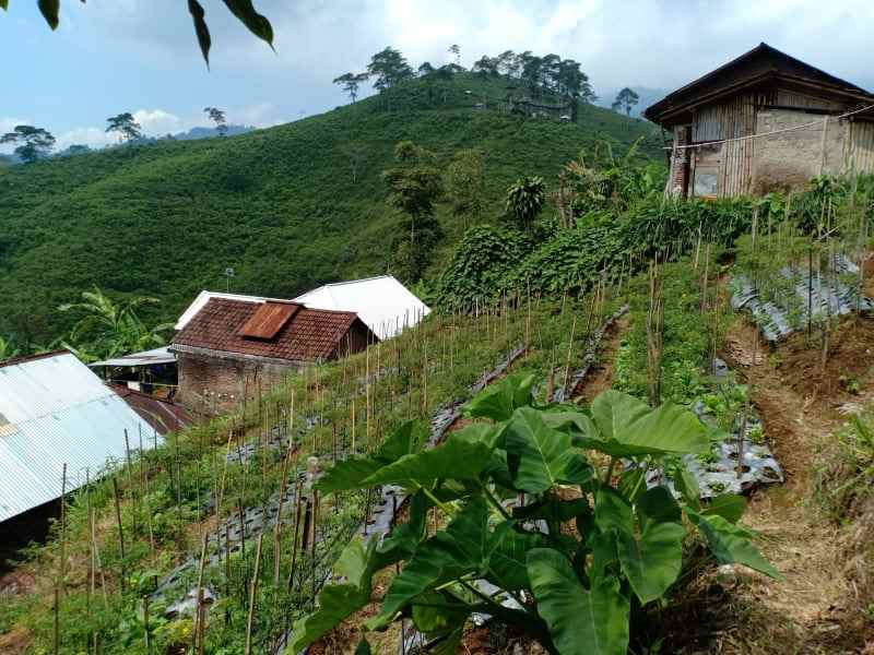 tanah ngargoyoso karanganyar