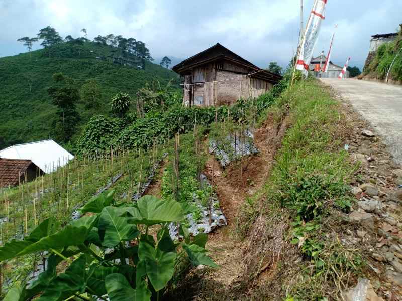 tanah ngargoyoso karanganyar