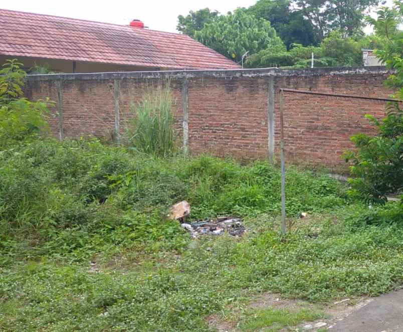 tanah rata dan padat tengah pemukiman