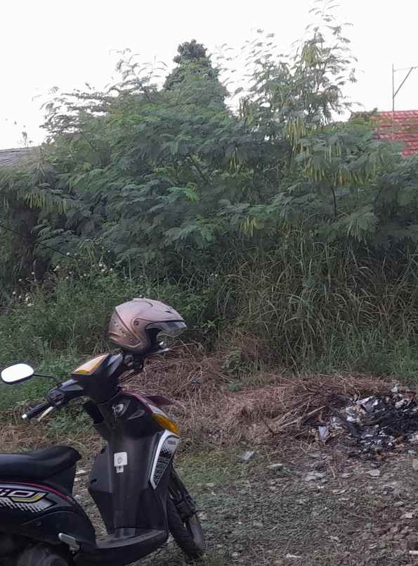 tanah rata dan padat tengah pemukiman