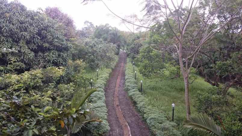 tanah serua bojong sari