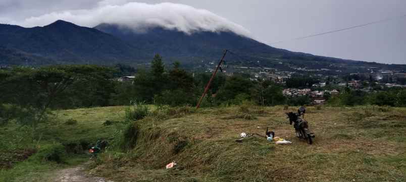 tanah shm 1000 mdpl dekat jalan raya puncak