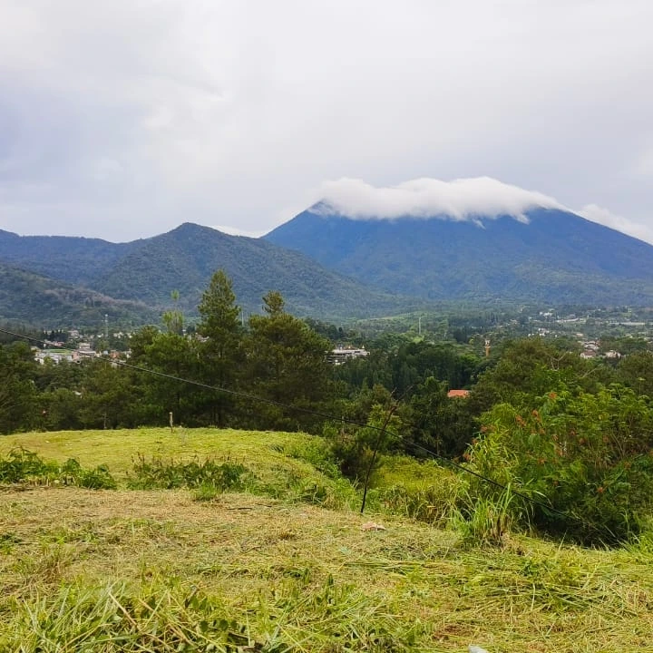 tanah shm 1000 mdpl dekat jalan raya puncak