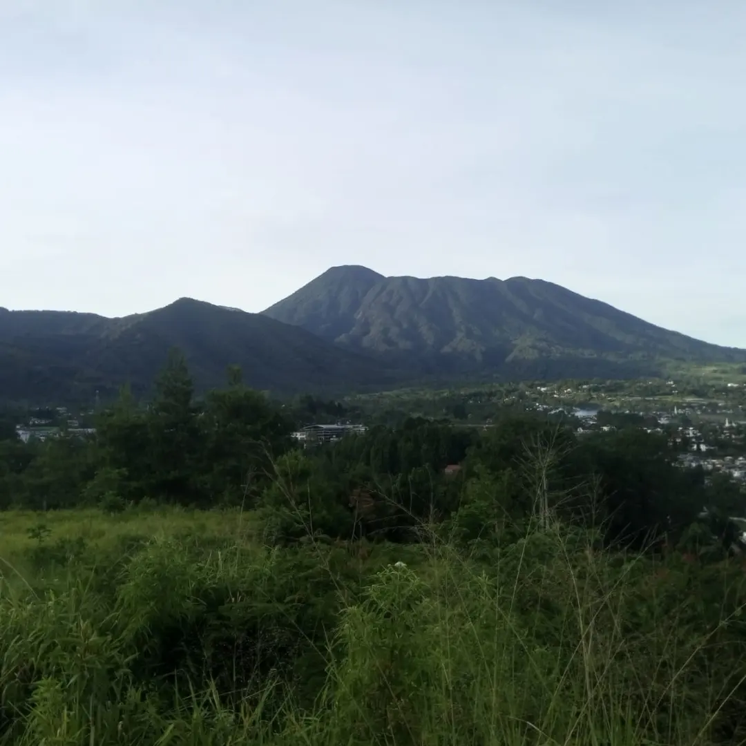 tanah shm 1000 mdpl dekat jalan raya puncak