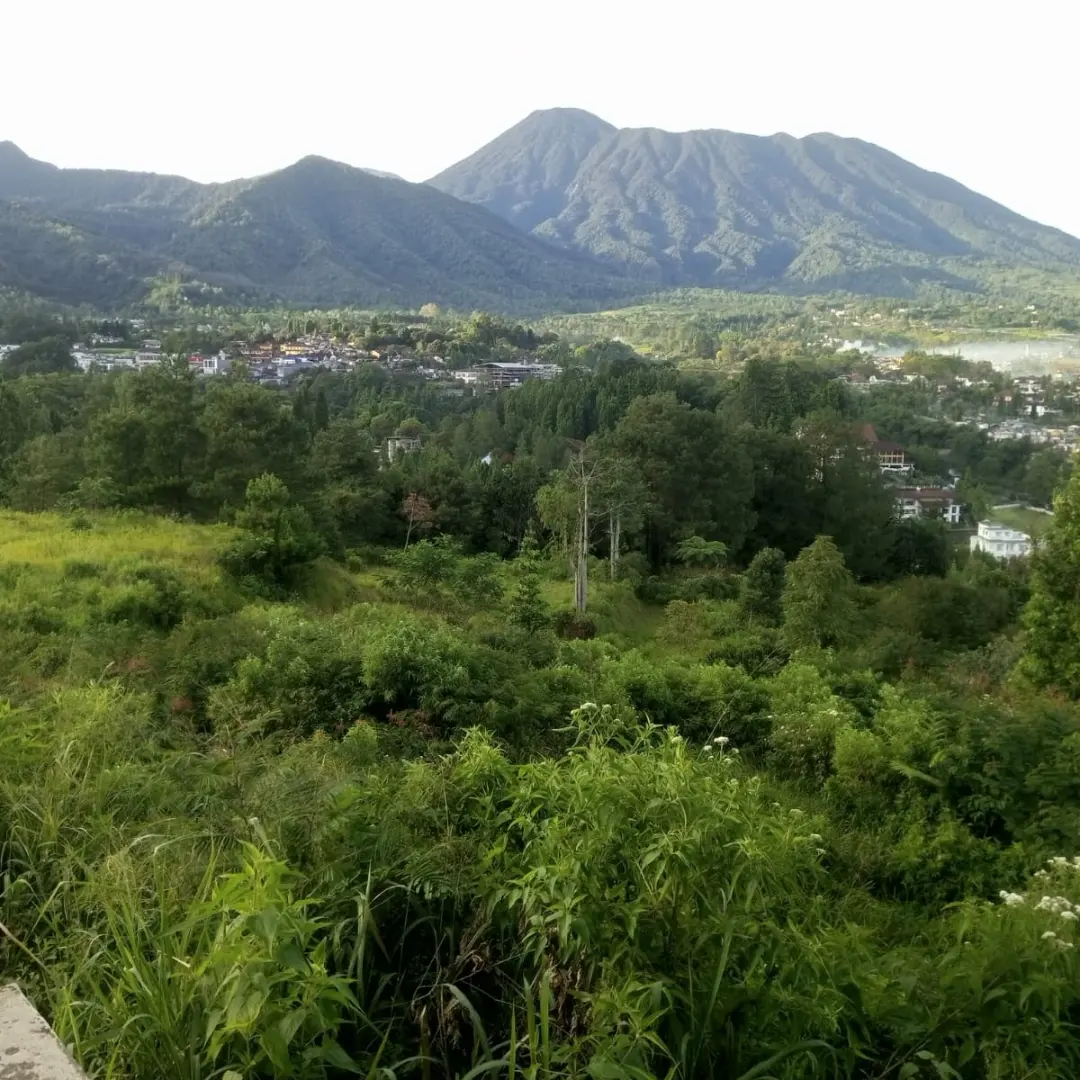 tanah shm 1000 mdpl dekat jalan raya puncak