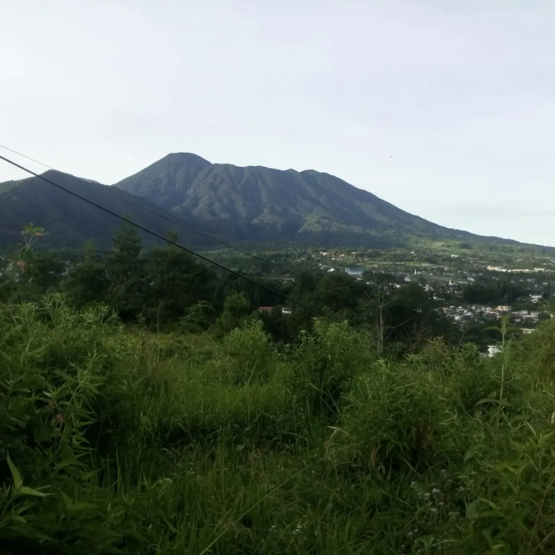 tanah shm 1000 mdpl dekat jalan raya puncak