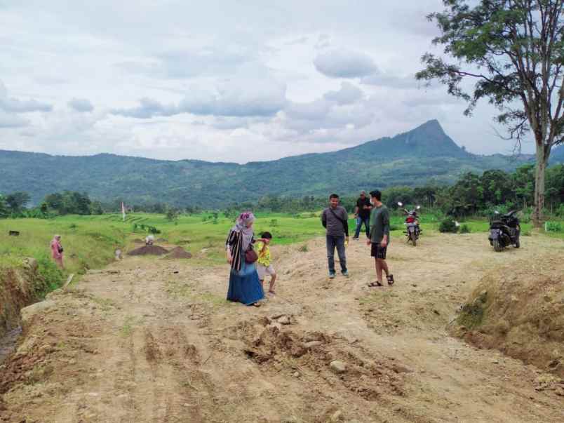 tanah sukamakmur kabupaten bogor