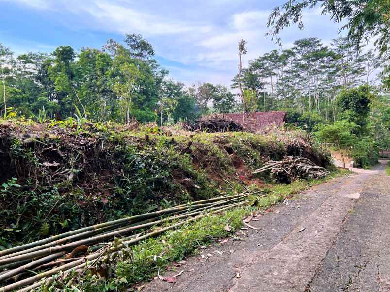 tanah super datar 1028m2 hanya 250 juta karanganyar