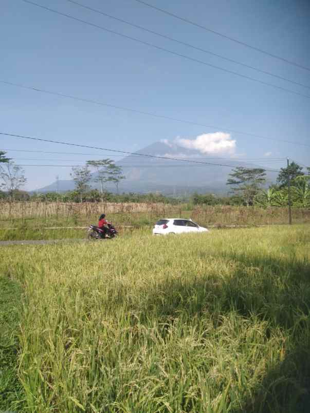 tanah view gunung strategis tanah subur air bagus