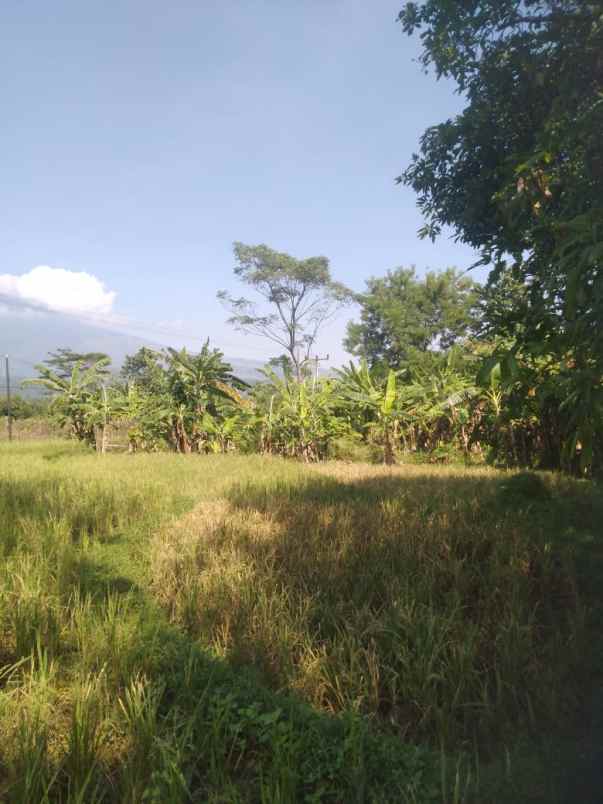 tanah view gunung strategis tanah subur air bagus