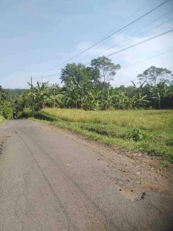 tanah view gunung strategis tanah subur air bagus