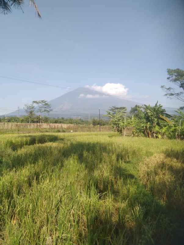 tanah view gunung strategis tanah subur air bagus