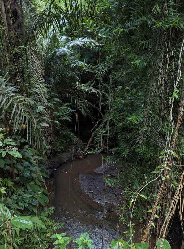 tanah view sungai dan jungle di keliki ubud bali