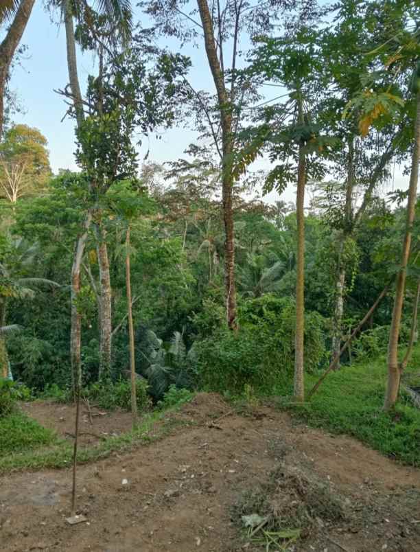 tanah view sungai dan jungle di keliki ubud bali