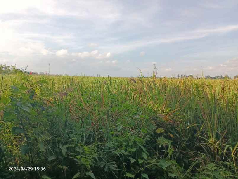 tanah zona pariwisata dekat soori kelating bali