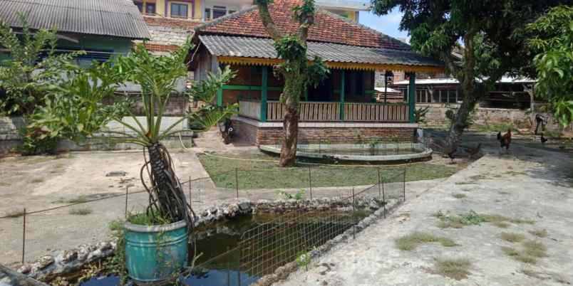 villa cibinong jalan raya