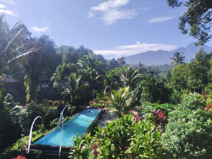 dijual 5 villa dan lahan bagus murah