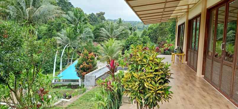 dijual 5 villa dan lahan bagus murah