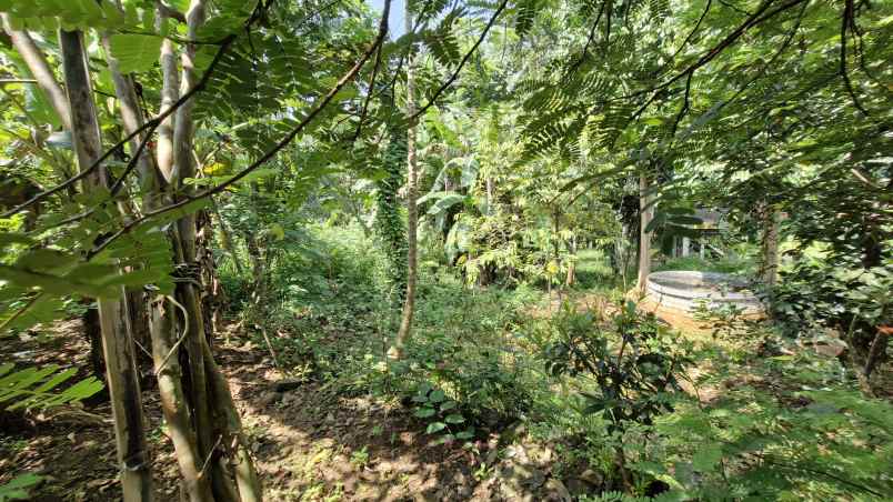 dijual cepat rumah pribadi