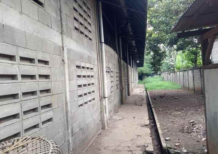 dijual disewakan gudang 5000 m2 cileungsi kab bogor