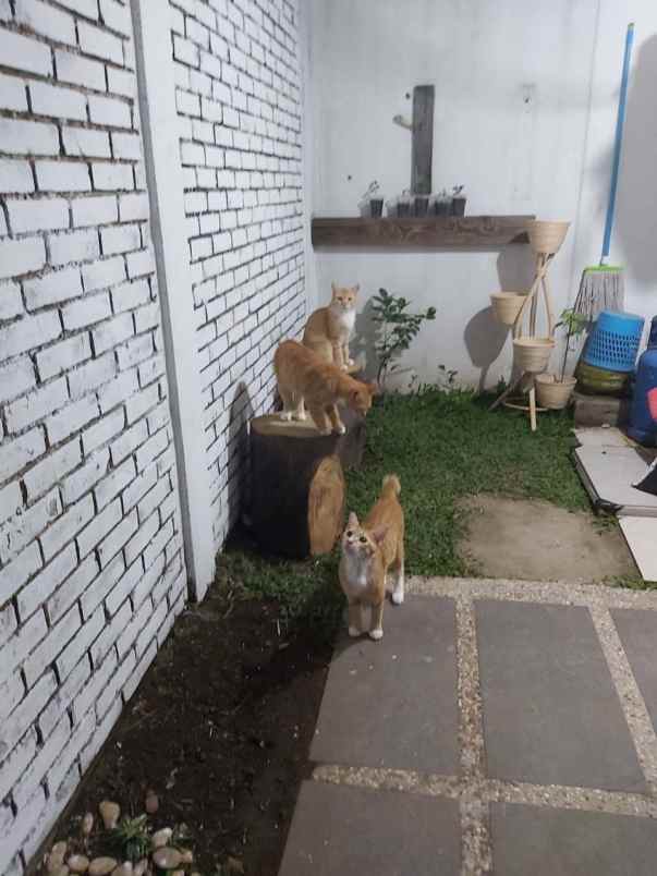 dijual rumah ciwastra