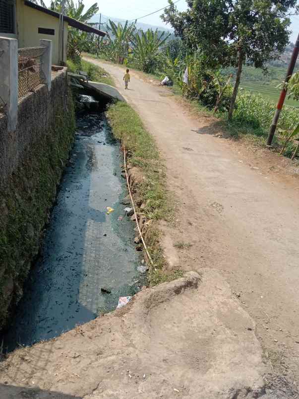 dijual rumah desa bojongkoneng