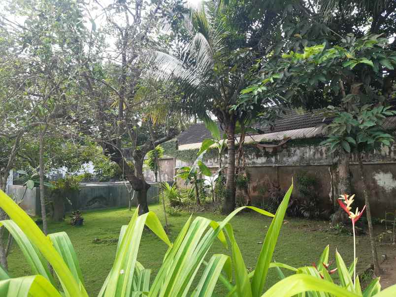 dijual rumah di pusat kota jember dekat lippo