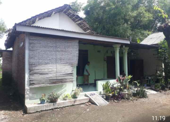 dijual rumah dijual rumah di dusun