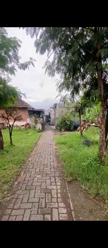 dijual rumah dijual rumah kost kost san