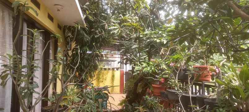 dijual rumah harapan indah cluster aralia