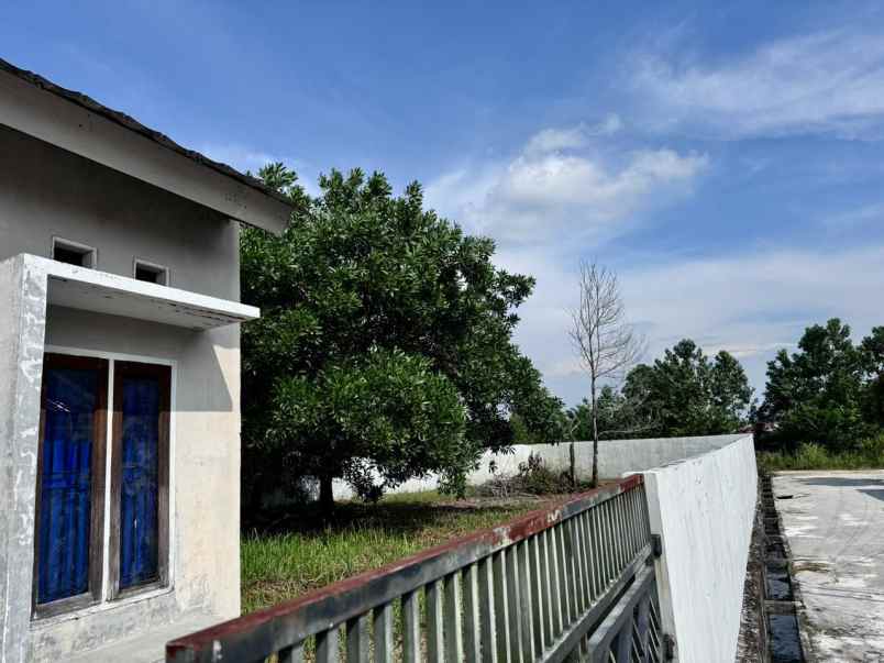 dijual rumah jl garuda sakti km 4