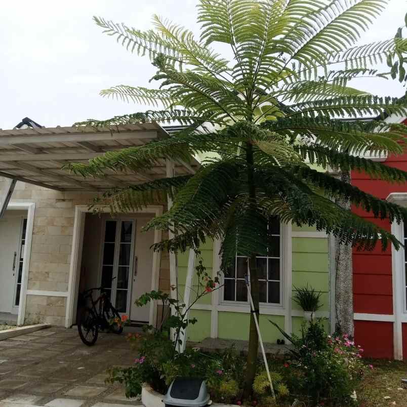 dijual rumah jl jejalenjaya desa