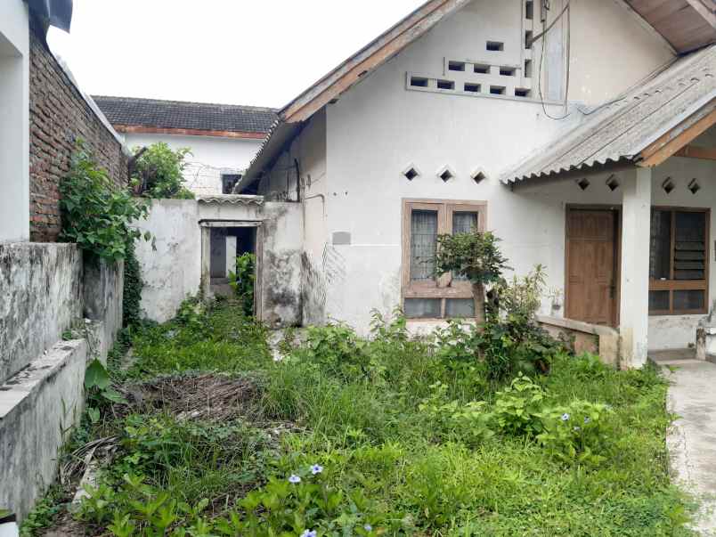 dijual rumah lama dekat rri jember