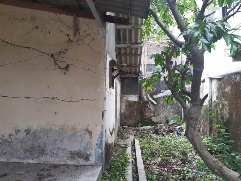 dijual rumah lama dekat rri jember