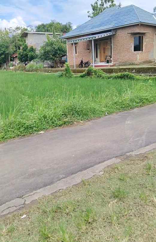 dijual sawah strategis