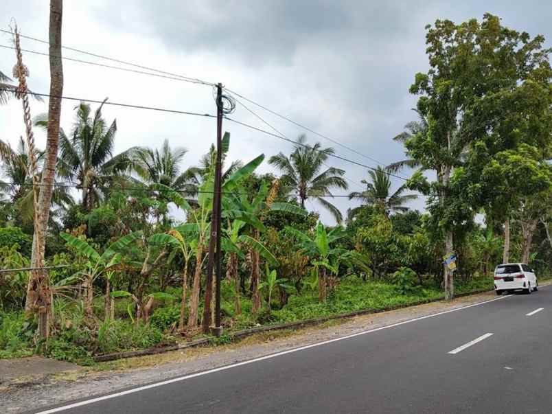 dijual tanah antosari kec selemadeg