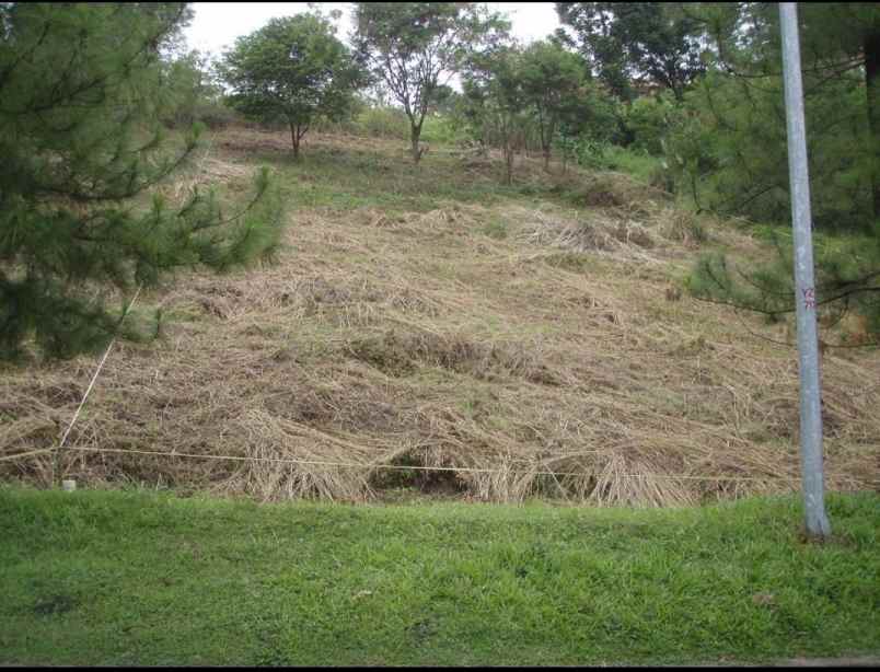 dijual tanah babakan madang bogor