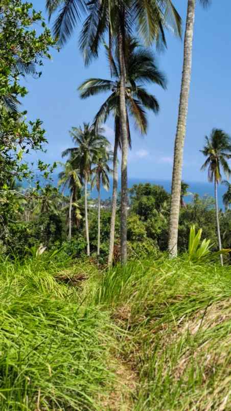 dijual tanah balian beach selemadeg
