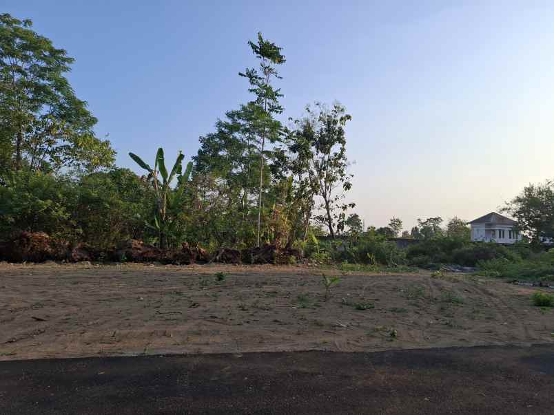 dijual tanah banjeng maguwoharjo depok