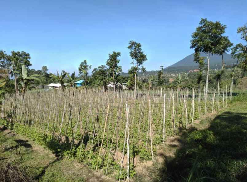 dijual tanah baturiti tabanan bali