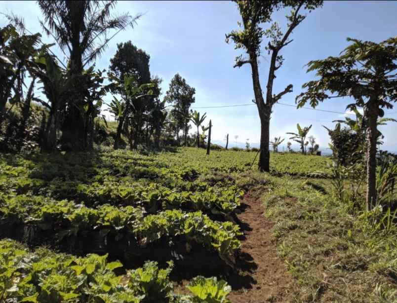 dijual tanah baturiti tabanan bali