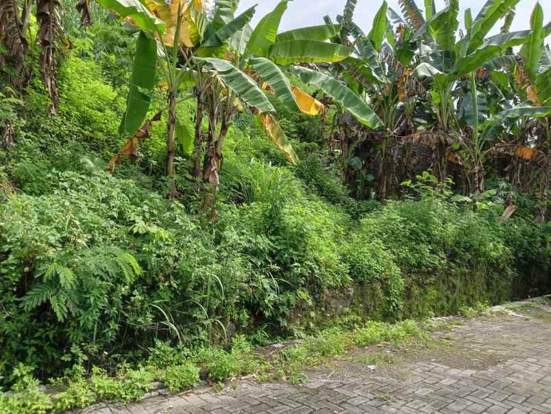 dijual tanah bendan