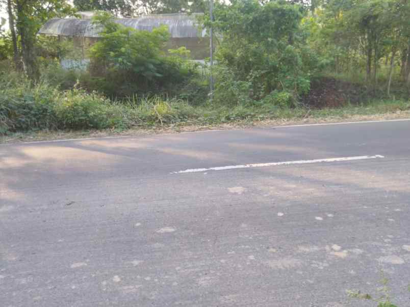 dijual tanah blok bebera dagang