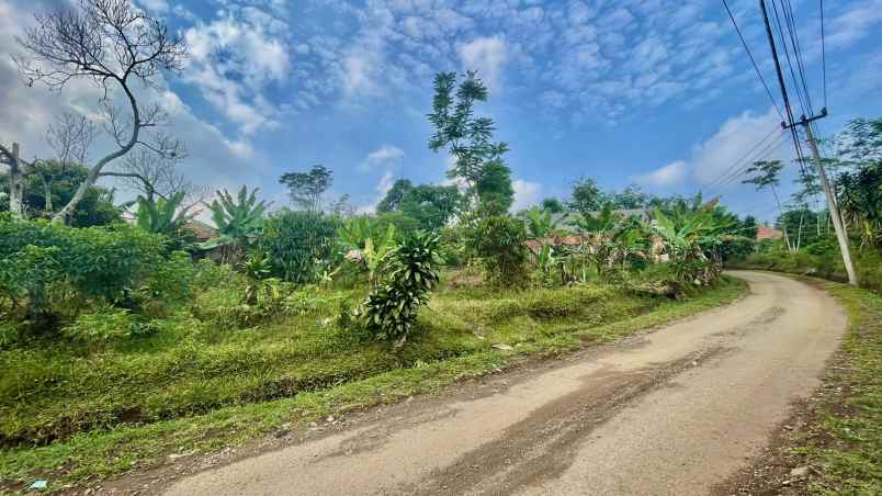 dijual tanah bojong