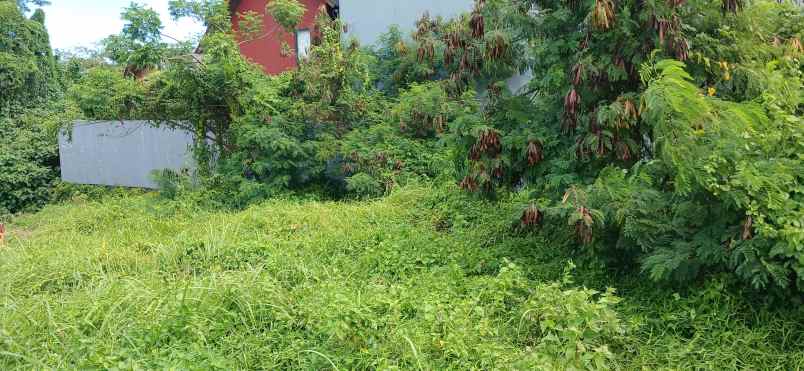 dijual tanah canggu badung bali