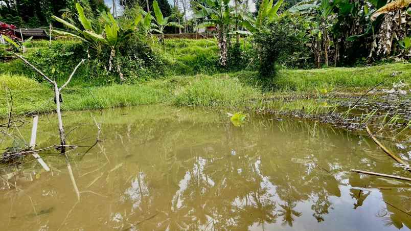 dijual tanah cibatu